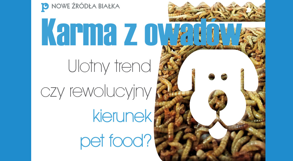 Karma z owadów - ulotny trend czy rewolucyjny kierunek pet food?